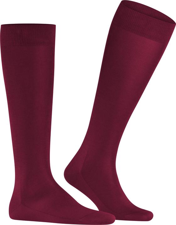 Actual product image Falke Tiago (Single pack, 41 - 42)