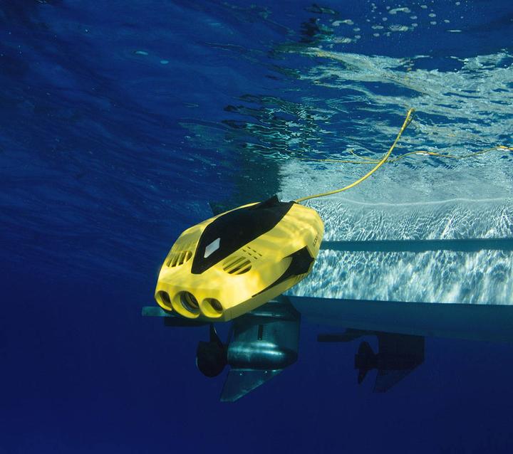 Image du produit Chasing Dory