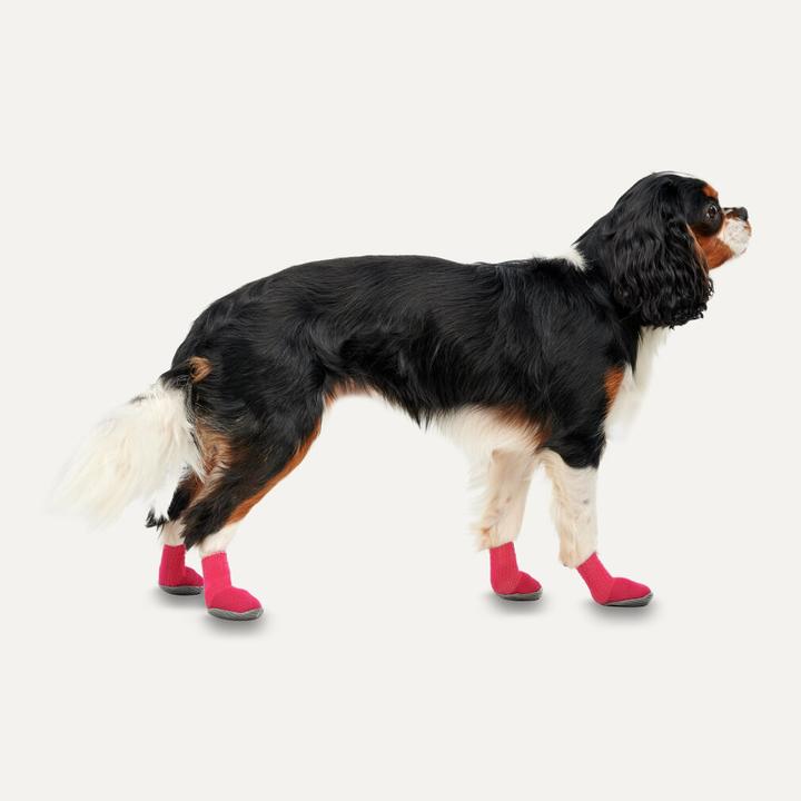 Image du produit Goo-eez Athleticaz, Rouge/Black, M, 2 pcs