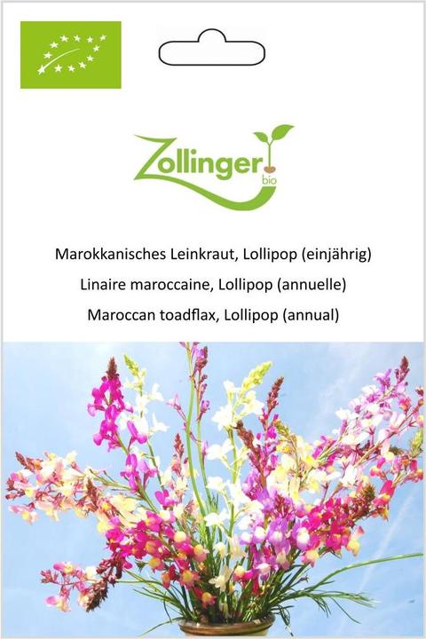Produktbild Zollinger Bio Marokkanisches Leinkraut, Lollipop (einjährig) (Keimlinge)