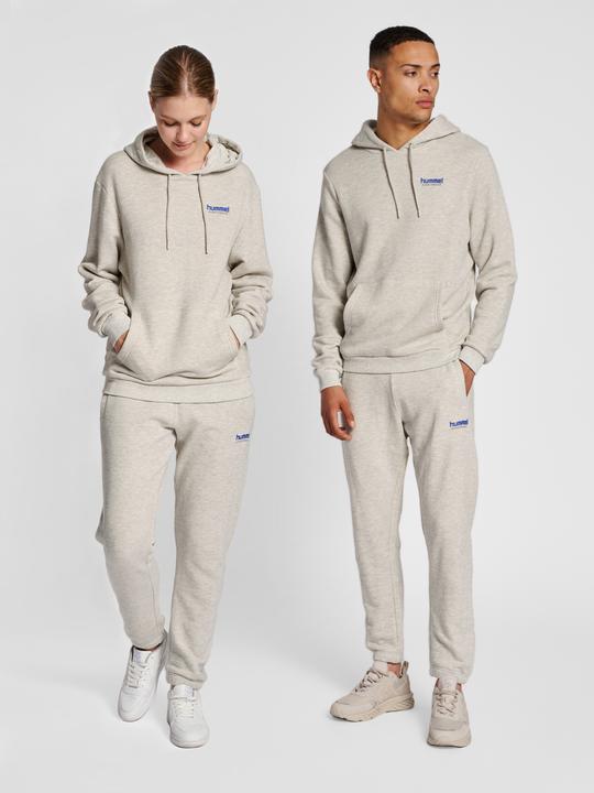 Actual product image hummel Lgc Austin Hoodie (XL)