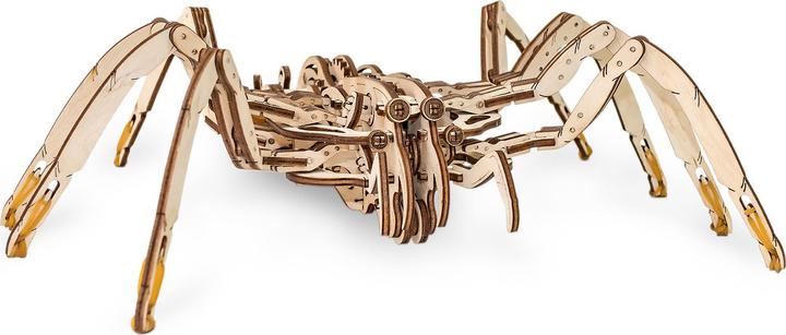 Actual product image Eco Wood Art spider
