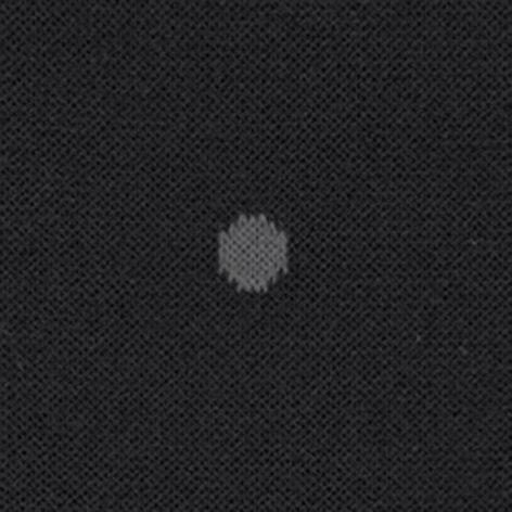 Actual product image Falke Dot KH (43 - 46)