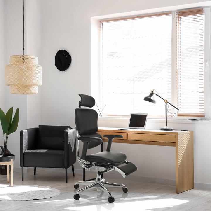 Immagine prodotto Hjh Office Ergohuman Plus Legpro Gen2