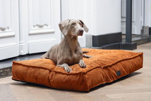 Produktbild Designed by Lotte Liegekissen (Hund)