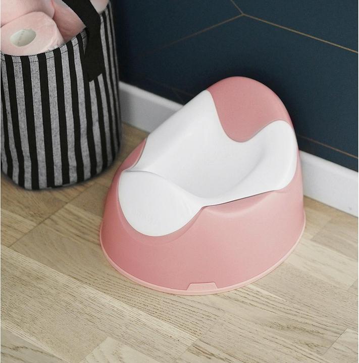 Actual product image Beaba Kids pot