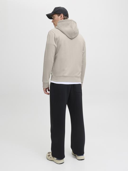 Actual product image Jack & Jones Jjesoho Sweat Zip Hood Noos (S)