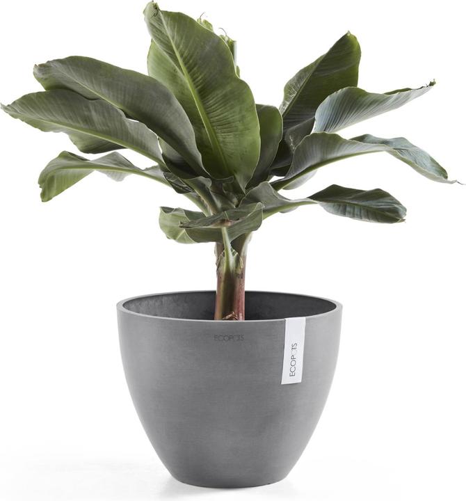 Produktbild Ecopots Antwerp (30 cm)
