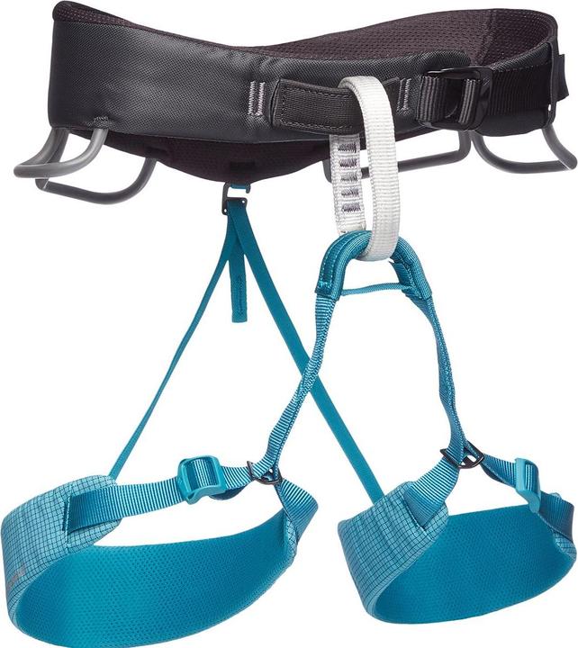 Image du produit Black Diamond Harnais d'escalade Momentum (L)