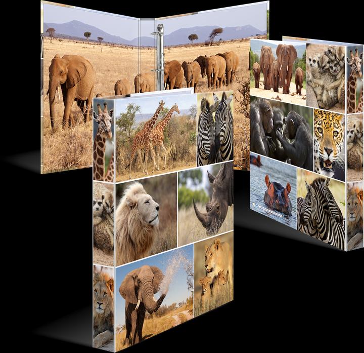 Actual product image HERMA A4 ring binder motif (A4, 35 mm, 1 Piece)