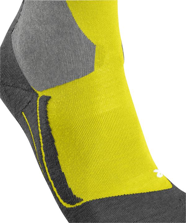 Actual product image Falke SK4 Advanced (39 - 41)