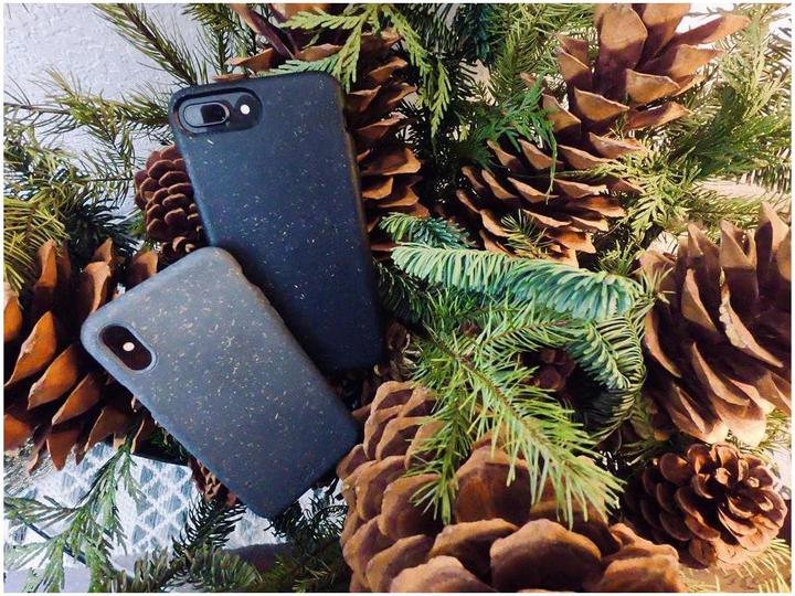 Produktbild Pela Eco Friendly (Apple iPhone X, Apple iPhone XS)