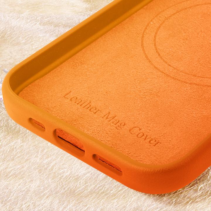 Produktbild Avizar MagSafe Elegance Case (Apple iPhone 16 Pro Max)