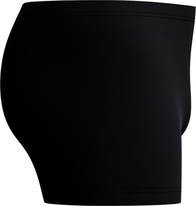 Image du produit Speedo Medley Logo Aquashort (52, Bande de fréquences 38 (2600 MHz))