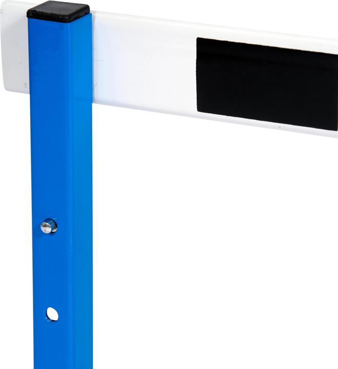 Actual product image Sport-Thieme Hurdle Magnetic (4000 g)