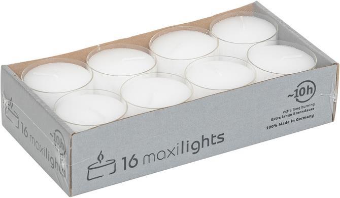 Actual product image Balthasar Maxilights (16 pcs.)