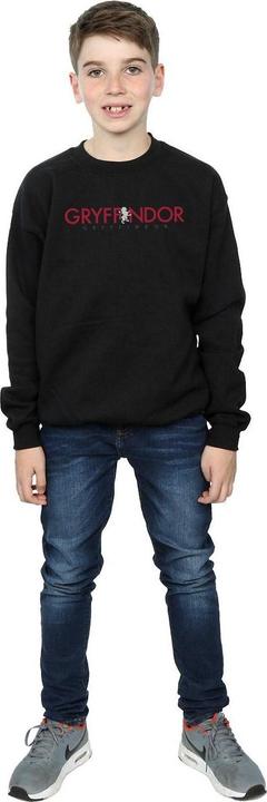 Image du produit - Sweat GRYFFINDOR TEXT - Garçon (152, 158)