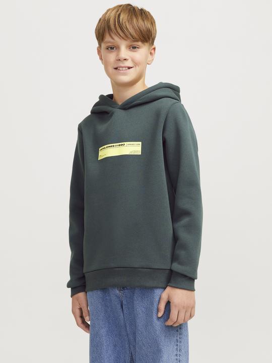 Actual product image Jack & Jones Gedruckt Kapuzenpullover Junior Kapuzenpullover (176)