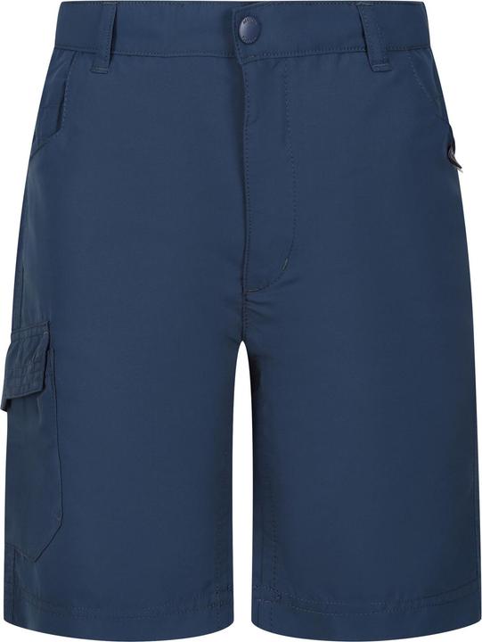Regatta Sorcer II Shorts (116)