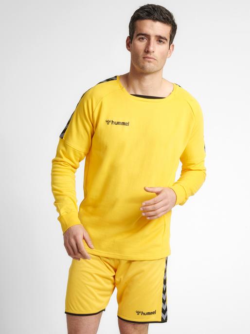 Image du produit hummel Sweat D'Entraînement Authentique (XXL)
