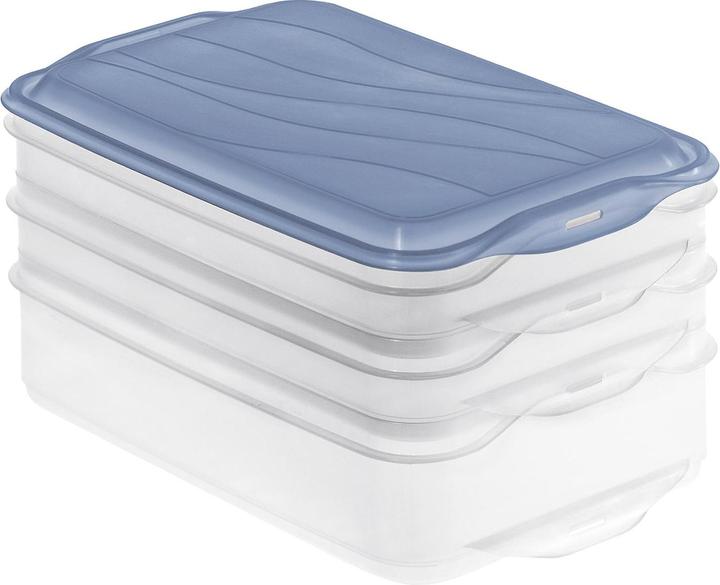 Actual product image Rotho Slicing box Rondo 3pcs blue (2.85 l)