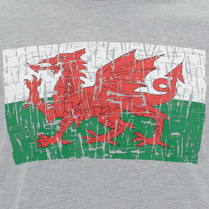 Immagine prodotto Macron t-shirt cotone pays de galles rugby xv 2020/21 (M)