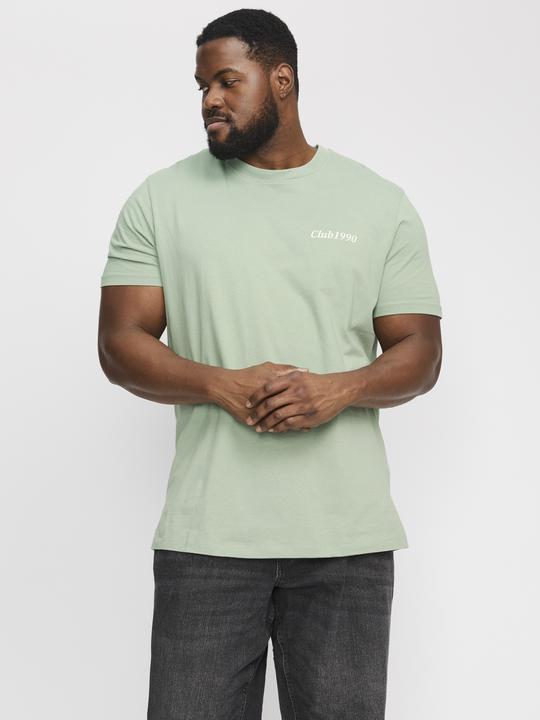 Image du produit Jack & Jones Jjebradley Graphic Tee Ss O-Neck Sn Pls (XXL)