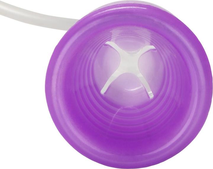 Produktbild CalExotics Intimate Pump