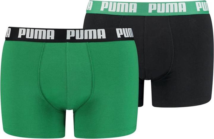 Verde Amazzone