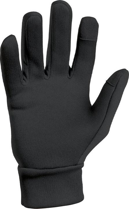 Actual product image A10 Equipment Winterhandschuhe Thermo Performer 0°C bis -10°C (L)