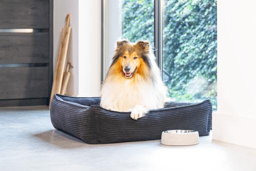 Actual product image Designed by Lotte Ribbed (Dog)