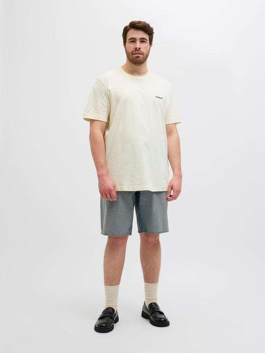 Image du produit Jack & Jones Plus Size Rückenprint T-shirt T-shirt (3XL)