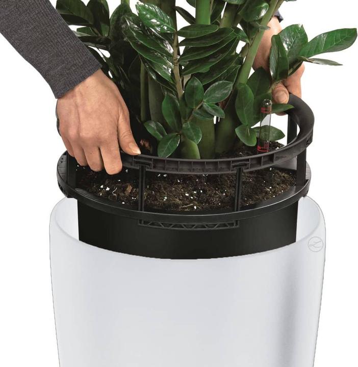Actual product image Lechuza Rondo (40 cm)