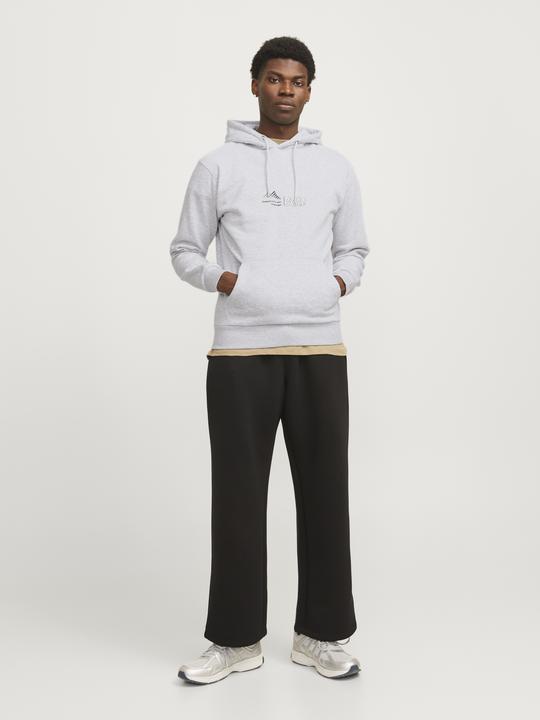 Actual product image Jack & Jones Jcolima Logo Sweat Hood Bfln (S)