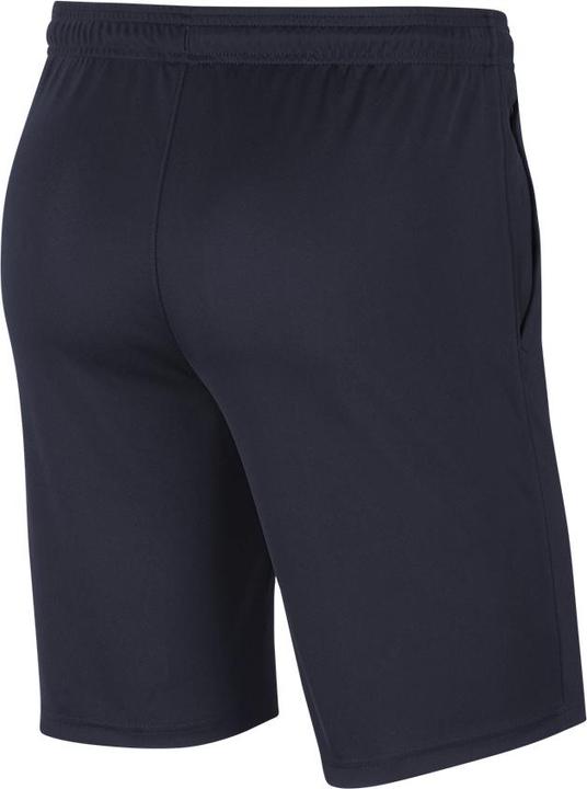 Actual product image Nike Park 20 Knit Short (L)