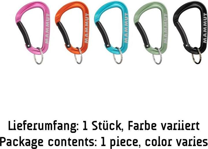 Actual product image Mammut Mini Carabiner Workhorse Keylock L