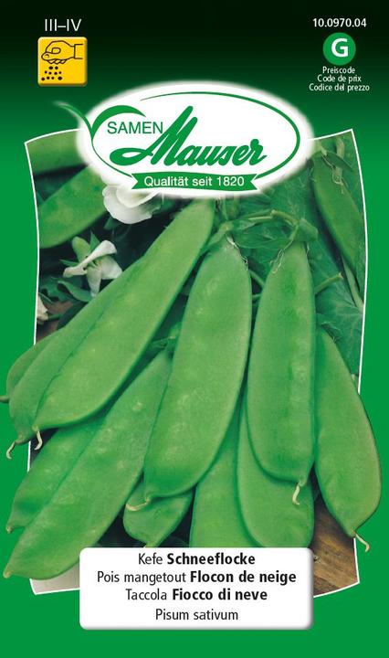 Produktbild Samen Mauser Kefen Schneeflocke (Gemüsesamen)