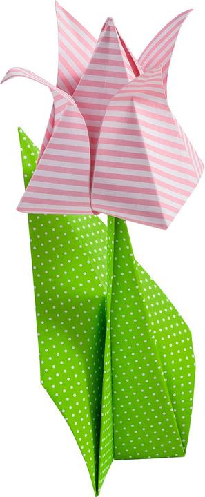 Produktbild Folia Faltblätter Basic intensiv (80 g/m², 50 x)