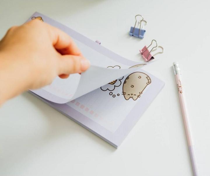 Actual product image Grupo Erik PUSHEEN - Liste de Course Magnétique Crayon