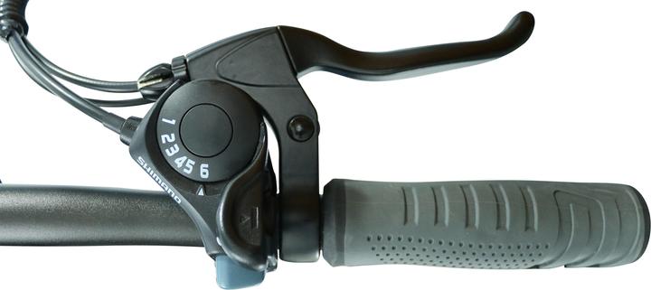 Actual product image Blaupunkt Electric bike 20&"