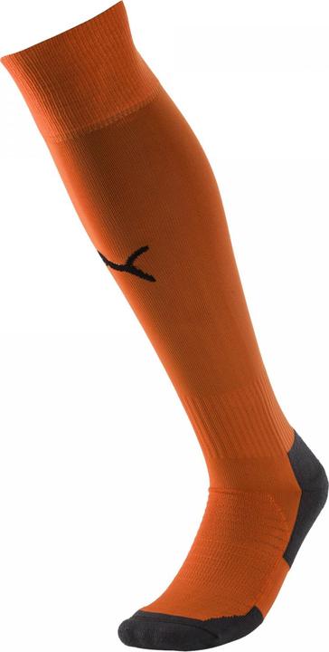Actual product image Puma Team LIGA Socks CORE-703441 (35, 38)