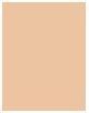 Image du produit Shiseido Synchro Skin Rad Lifting Fond de teint No 310 (310 Soie)