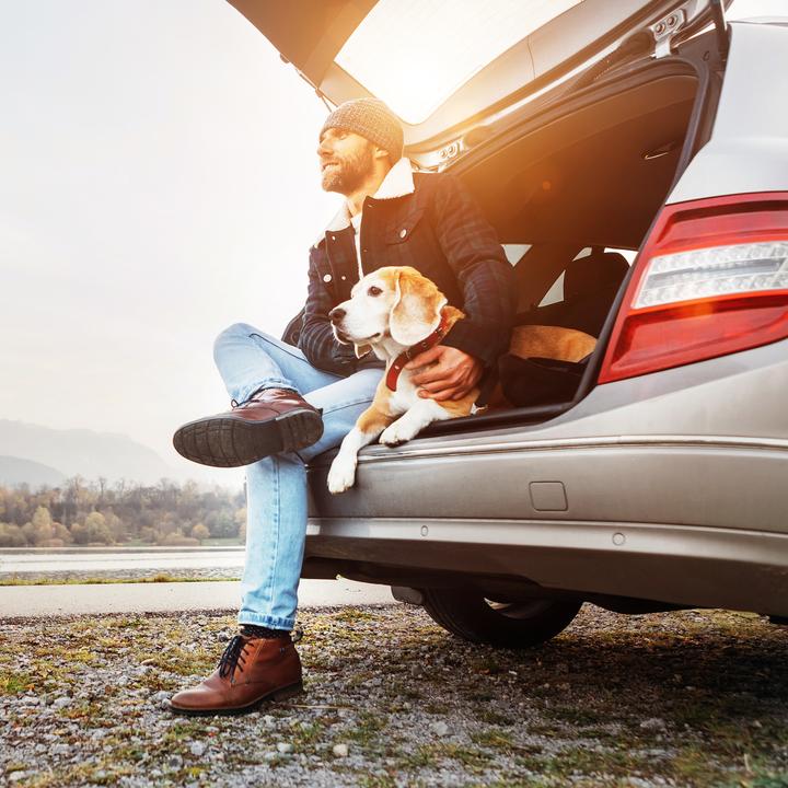 Actual product image Relaxdays Protective Car Seat Cover for Dogs (Dog)