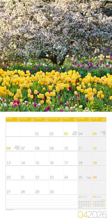 Produktbild In meinem Garten Kalender 2026 - 30x30 (30 x 30 cm, Harter Einband, Deutsch, Französisch, Englisch, Italienisch)
