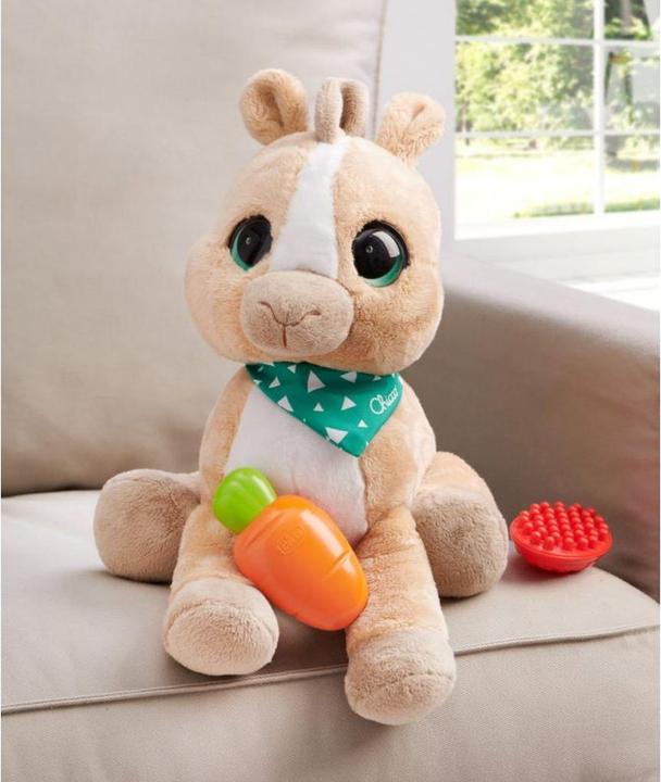 Actual product image Chicco Cuckoo toy