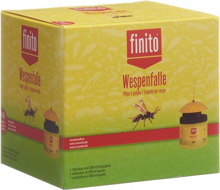 Actual product image Finito Wasp Trap