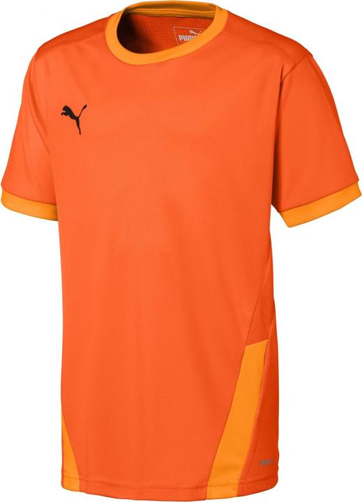Immagine prodotto Puma Maglia teamGOAL 23 jr-704160 (128)