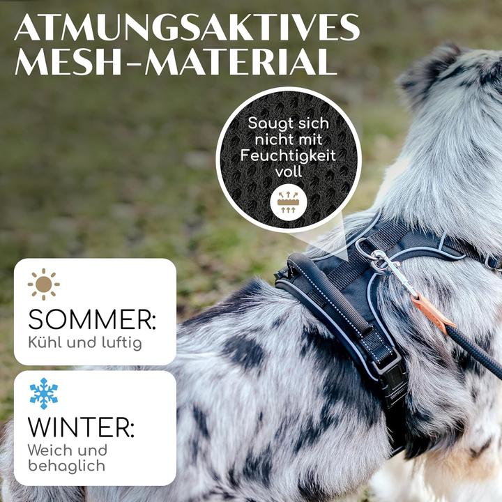Produktbild Freudentier Hundegeschirr (S, Hund, Allgemein, Spazieren, Jogging, Hundesport)