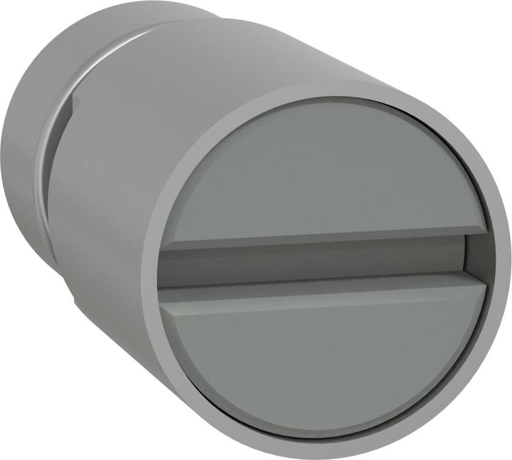 Actual product image Schneider PrismaSeT-P, cylinder lock, with screwdriver insert LVS07946