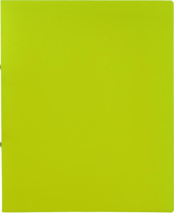 Actual product image Idena Ring binder A4 PP light green 20mm 2 rings (A4, 20 mm, 1 Piece)